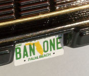 Bandit Firebird Trans Am rear with BAN-ONE Florida license plate